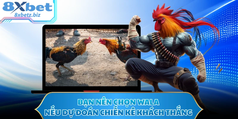 Bạn nên chọn Wala nếu dự đoán chiến kê khách thắng