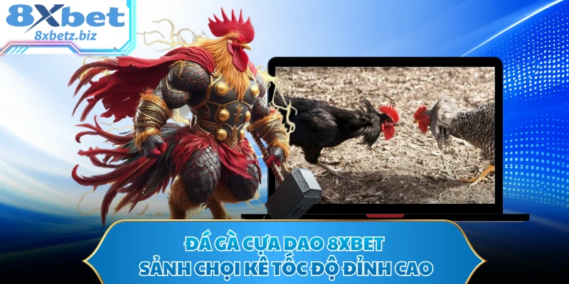 Đá Gà Cựa Dao 8XBET - Sảnh Chọi Kê Tốc Độ Đỉnh Cao