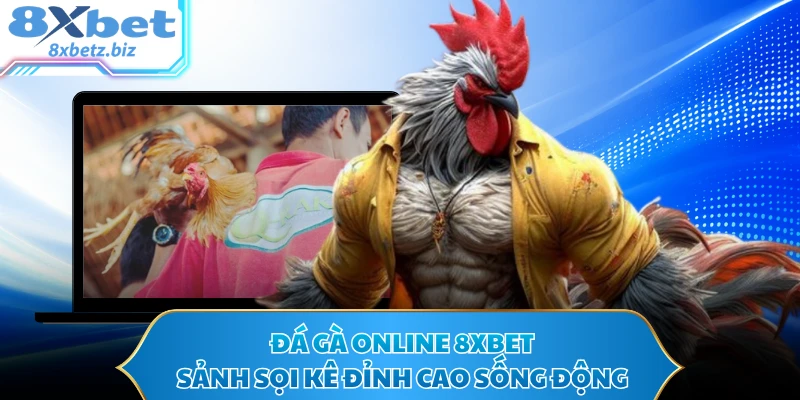 Đá Gà Online 8XBET - Sảnh Sọi Kê Đỉnh Cao Sống Động
