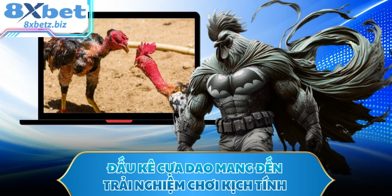Đấu kê cựa dao mang đến trải nghiệm chơi kịch tính