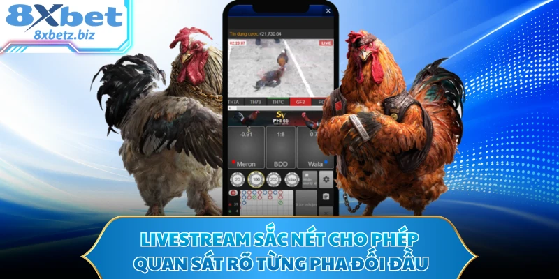 Livestream sắc nét cho phép quan sát rõ từng pha đối đầu