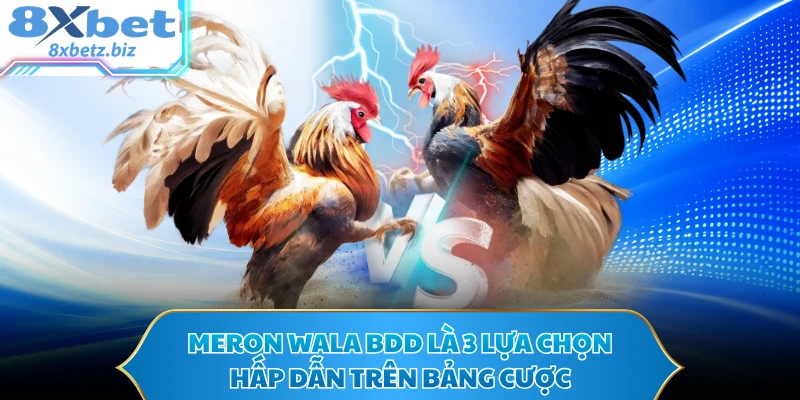 Meron Wala BDD là 3 lựa chọn hấp dẫn trên bảng cược