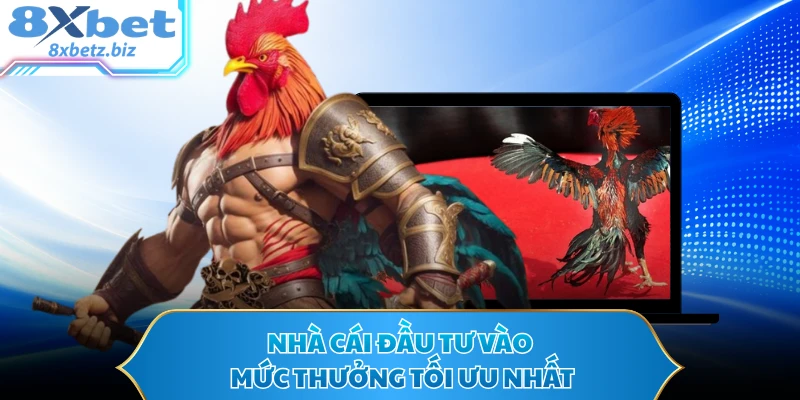 Nhà cái đầu tư vào mức thưởng tối ưu nhất