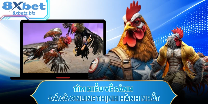 Tìm hiểu về sảnh đá gà online thịnh hành nhất